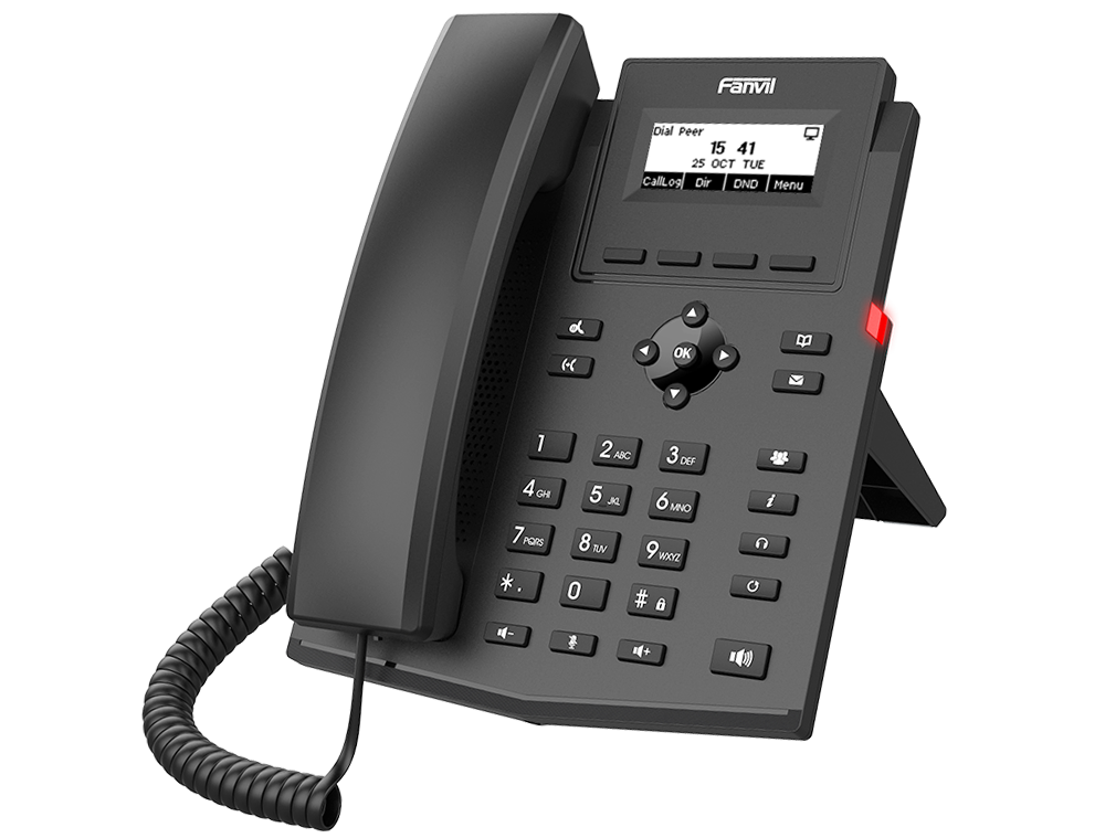 X301 - X301P right